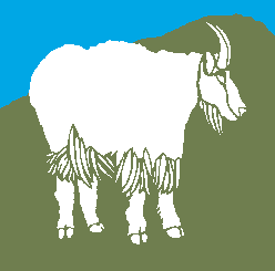 Mountain Goat